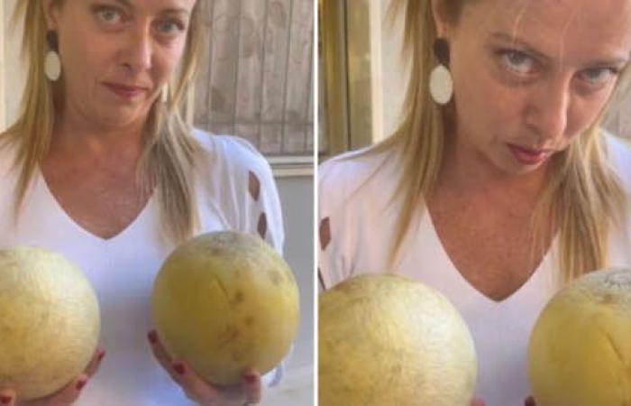 Giorgia Meloni avec deux melons, l’invitation à voter : “Le 25 septembre, j’ai tout dit”