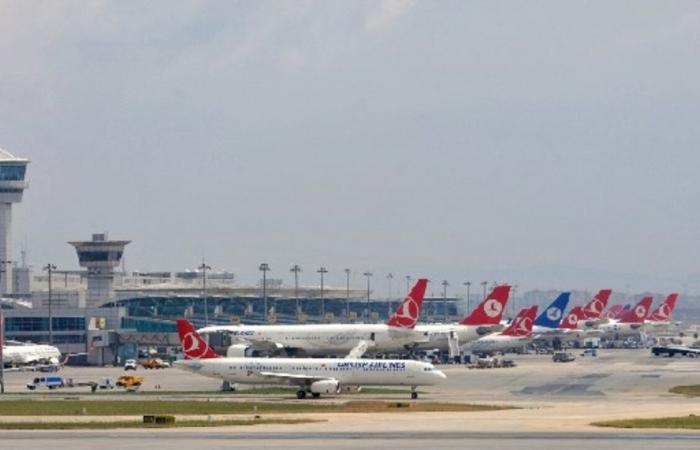Istanbul, la compagnie aérienne perd ses chiens : un homme désespère
