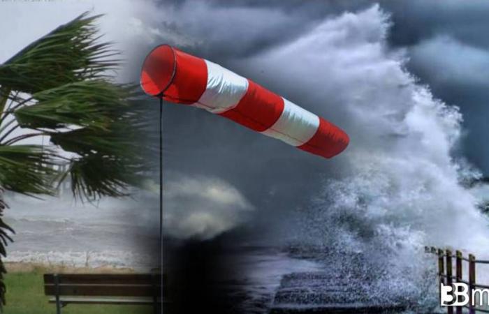 Bulletin météo. La tempête Oscar frappe les îles Canaries et Madère. Pluies torrentielles, vents violents et vols détournés