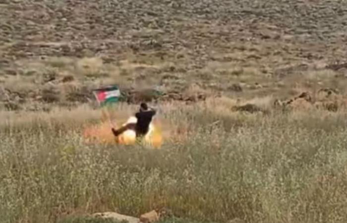 Ils placent le drapeau palestinien sur le bord de la route, un colon israélien donne un coup de pied : un piège se déclenche