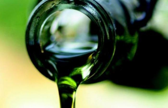 L’huile d’olive Jaén Selección promue parmi les chefs des 50 meilleurs restaurants du monde
