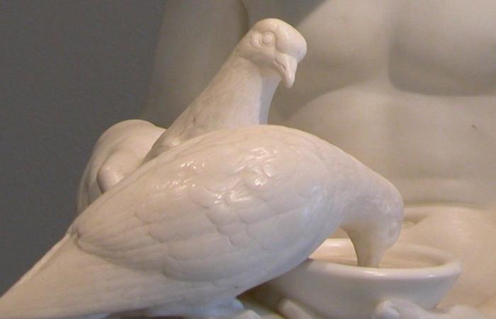 L’amour qui arrose les colombes de Luigi Bienaimé – Michelangelo Buonarroti est de retour
