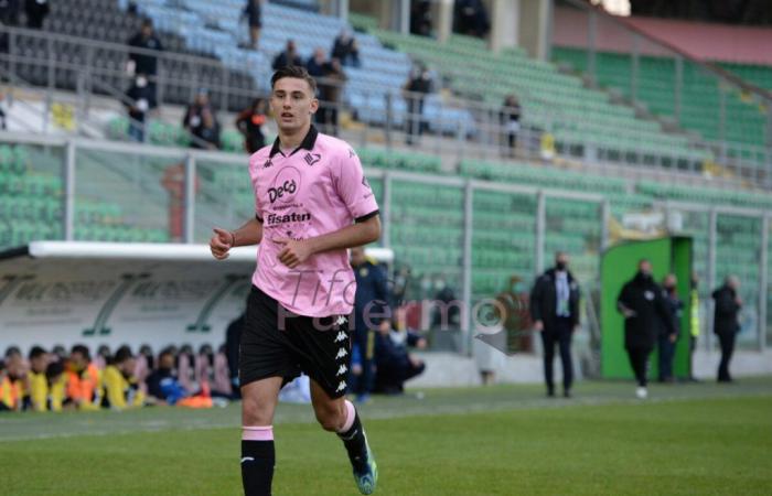 Udinese, la rédemption de Lucques est officielle : Palerme sourit aussi