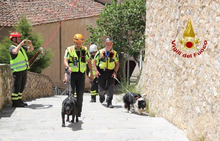 Les pompiers en exercice à Brienza. Une urgence provoquée par un tremblement de terre a été simulée – Ondanews.it