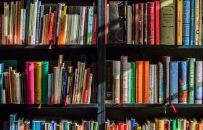 Bibliothèques scolaires et municipales : fréquentation réussie à Vérone