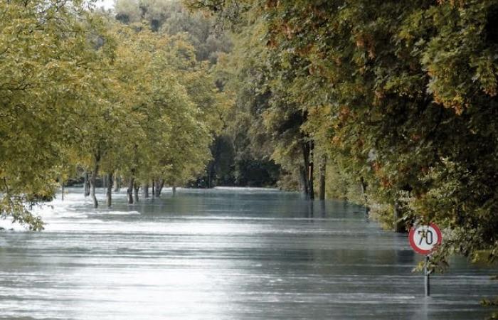 Dans la Gazzetta les contributions pour les inondations en Émilie-Romagne, en Toscane et dans les Marches