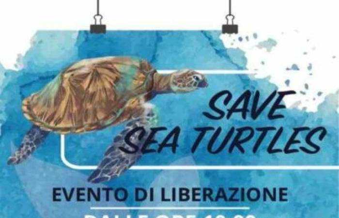 Grande fête à Molfetta dimanche pour la Journée mondiale des tortues marines