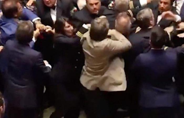 Leonardo Donno n’est pas la victime de la bagarre à la Chambre, mais une femme et avec elle ses collègues qui ont été battus – La vidéo