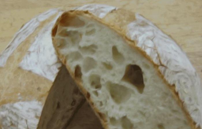 Pistoia, préparer le pain pendant la journée : cours pour boulangers