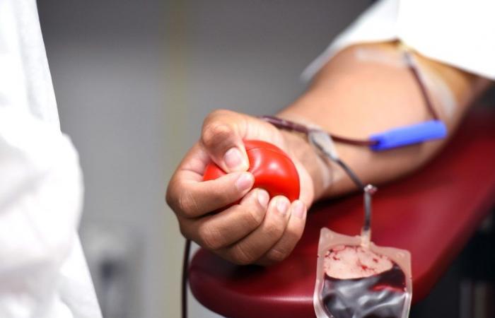 Journée du donateur, président d’Avis: «Premières marques en Italie pour le sang, mais il y a une pénurie de plasma» – Actualités Ancona-Osimo – CentroPagina
