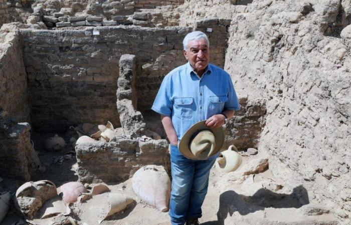 L’archéologue Zahi Hawass prêt pour l’Egizio de Turin : « Ce serait un plaisir de travailler avec Greco »
