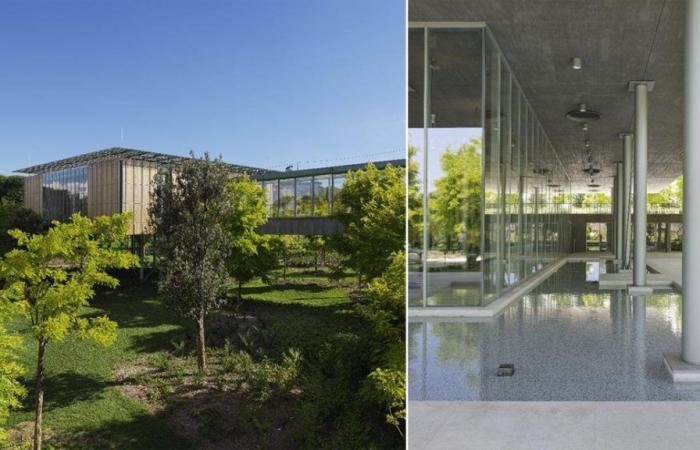Renzo Piano présente le nouvel hospice pédiatrique suspendu dans la verdure. « Mon défi le plus dur »