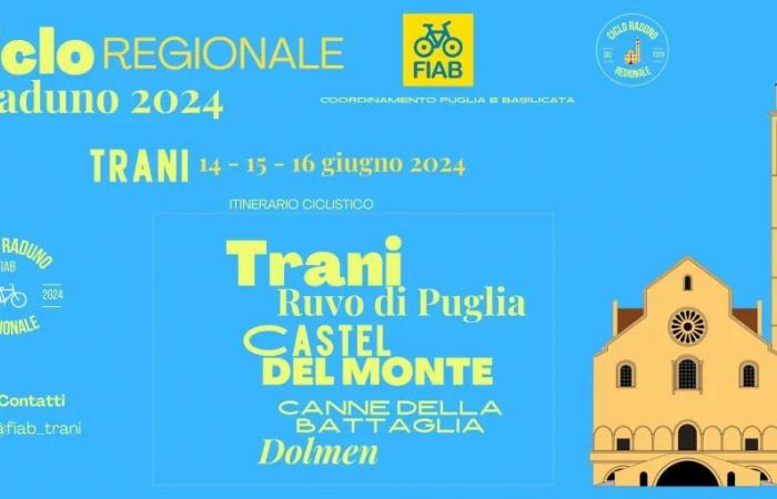 Réunion Fiab à Trani : « Valorisation de la piste cyclable de l’Adriatique lors des journées cyclotouristiques »