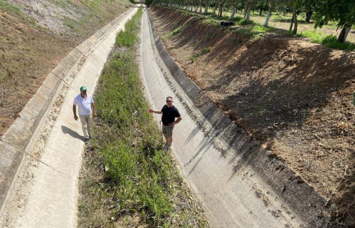 Cia Due Mari : dans la région de Tarente, les canaux sont à sec, la Basilique cesse de jouer avec dignité aux agriculteurs des Pouilles