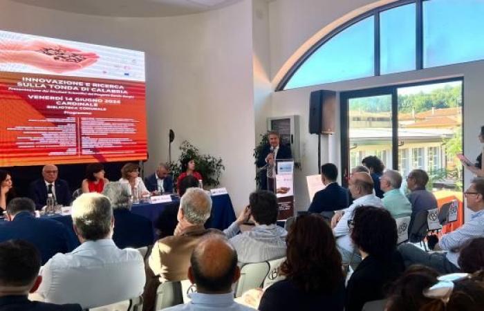 Le Président Mancuso au Cardinale pour la “Tonda d Calabria”