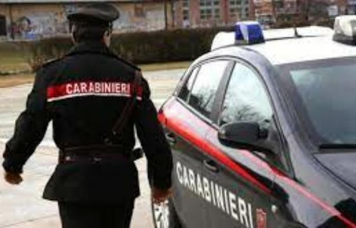 Cremona Sera – L’homme devra purger une peine de deux ans, deux mois et 14 jours de prison pour huit vols aggravés dans des entreprises de cosmétiques entre Crémone et Bergame