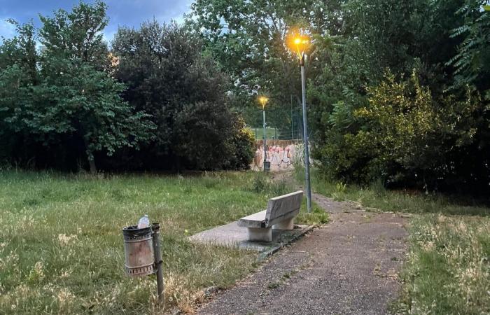 Ancône, choc au parc de la Paix : « Les retardataires font leurs affaires partout. Il faut davantage de contrôles” – News Ancona-Osimo – CentroPagina