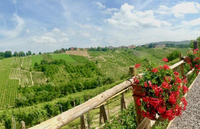 Agenda du vin, la Journée mondiale du Lambrusco est célébrée à Matera
