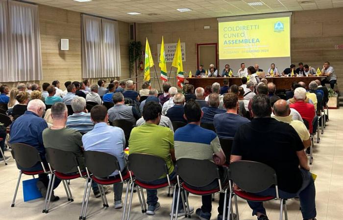 Coldiretti Cuneo annonce de nouvelles mobilisations “pour protéger les entreprises et le territoire”