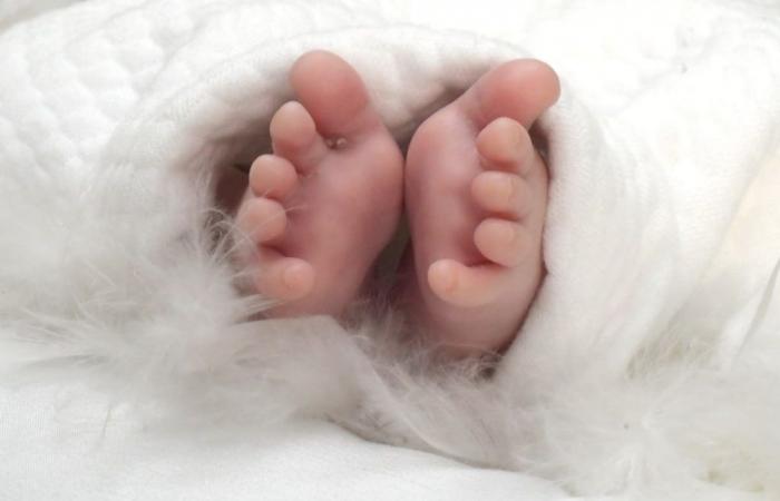 Enfants siciliens nés en 2023, données sur la fécondité en Sicile