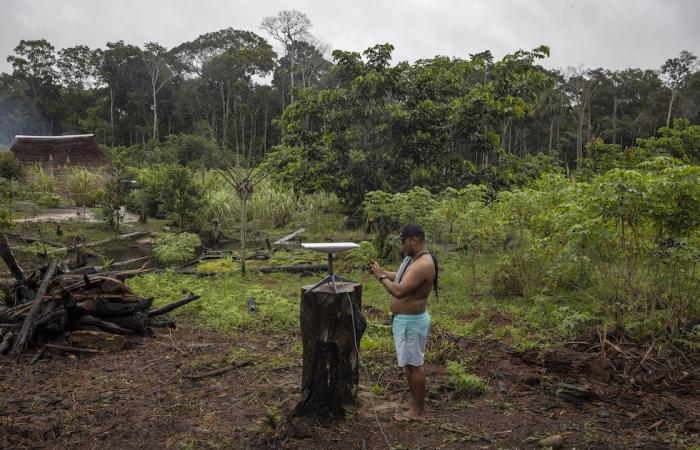 Cette population amazonienne n’est pas devenue accro au porno