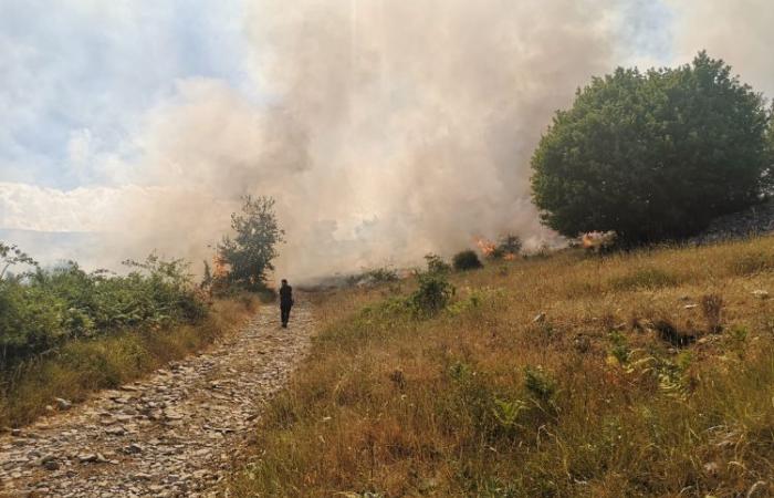 Incendie criminel dans la pinède de San Benedetto in Perillis, dans la région de L’Aquila