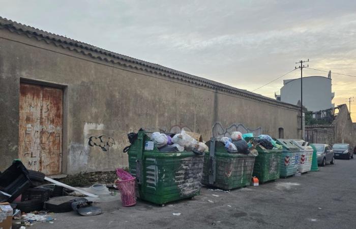 Crotone : Forza Italia appelle à une intervention immédiate pour la Piazza delle Foibe