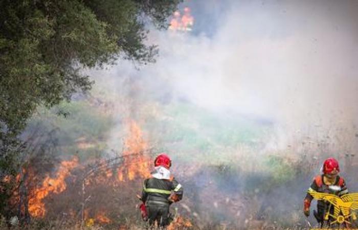 Aujourd’hui en Sardaigne 19 incendies : hélicoptères en action | Nouvelles
