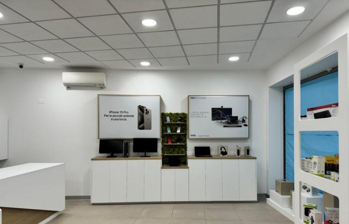 Nouvelles ouvertures : le magasin “SwipeUp” ouvre aujourd’hui dans le centre de Cosenza