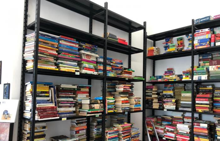 Une nouvelle librairie pour Rebaudengo: «Nous parions toujours sur le papier» – LA VIDÉO – Turin News