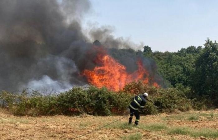 La municipalité de Pomezia adopte des mesures de prévention des risques d’incendie