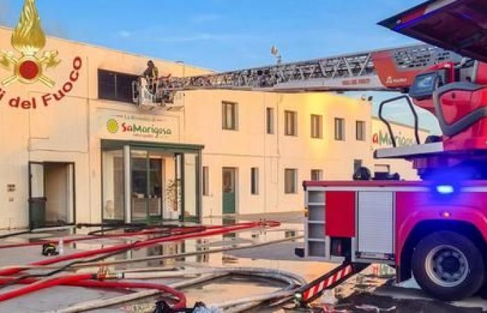 Le bon cœur de la Sardaigne : collecte pour la relance de Sa Marigosa, détruite par un incendie