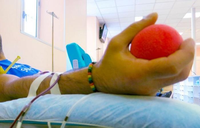Les dons de sang en hausse, plus de 206 mille en Toscane en 2023 : « Le défi est d’augmenter les jeunes »