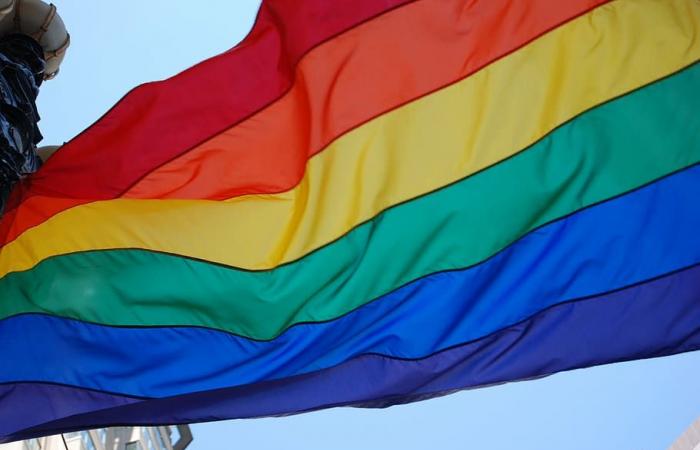 L’Ordre des Travailleurs Sociaux du Piémont participe à la Turin Pride