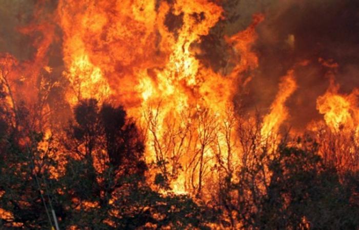 Frosinone – Incendies, sommet dans la Préfecture – Tu News 24