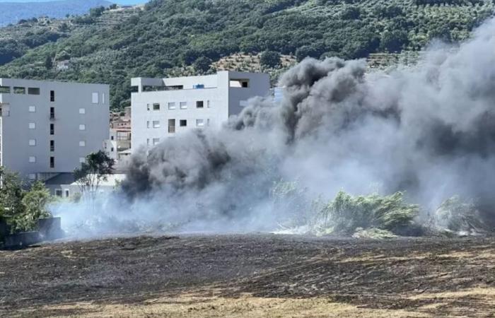 Maxi incendie à Scordovillo, Di Matteo: “la ville prise en otage par une poignée de criminels”