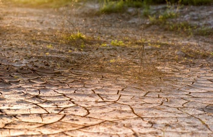 Il y a aussi une urgence de sécheresse dans les Abruzzes