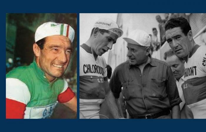 Soirée Crémone – En attendant le Tour à Plaisance : Pierino Baffi au Tour 6 fois et cette victoire solitaire est entrée dans l’histoire de la “Grande Boucle”