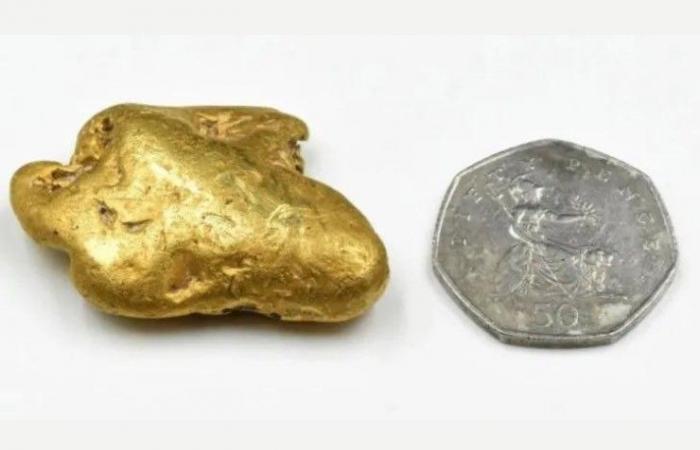 Trouver une pépite d’or grâce au détecteur de métaux : la valeur est impressionnante