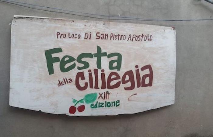 La fête des cerises à San Pietro Apostolo : couleurs, saveurs et traditions