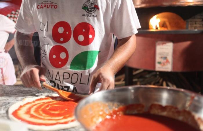 Les artistes des 10 grandes soirées au Napoli Pizza Village 2024