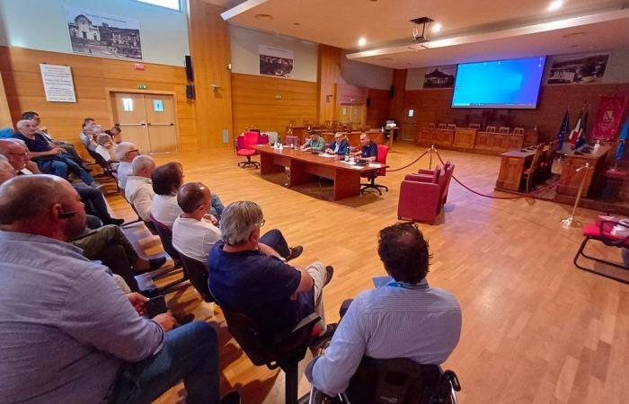 Lamezia, oléiculture et nouvelle réglementation: l’association Acoprol rencontre les carabiniers forestiers et les techniciens du secteur