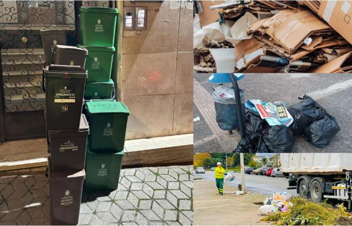 Cosenza, la nouvelle réglementation pour la gestion des déchets et l’hygiène urbaine approuvée. Que prédit-il