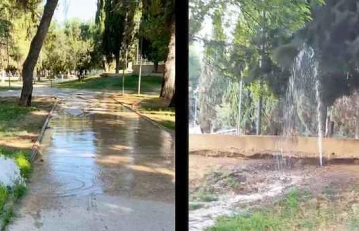 Andria, la villa municipale inondée : un gâchis public dû aux imbéciles. Les responsables des dégâts causés au système d’irrigation sont recherchés