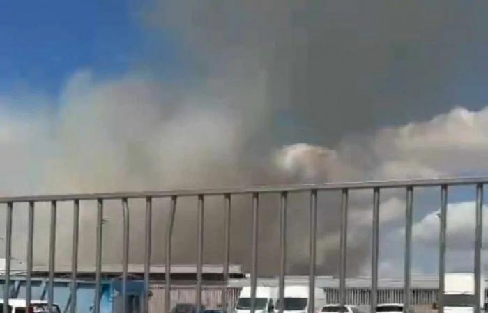 Vigne Nuove, immense incendie dans l’espace vert de Rina de Liguoro (PHOTO-VIDEO)