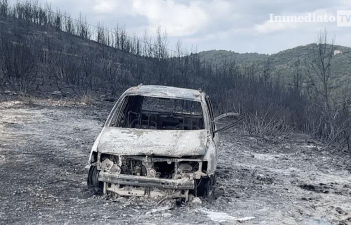 Cauchemar des incendies de forêt, la police forestière est prête pour la campagne de lutte contre le phénomène
