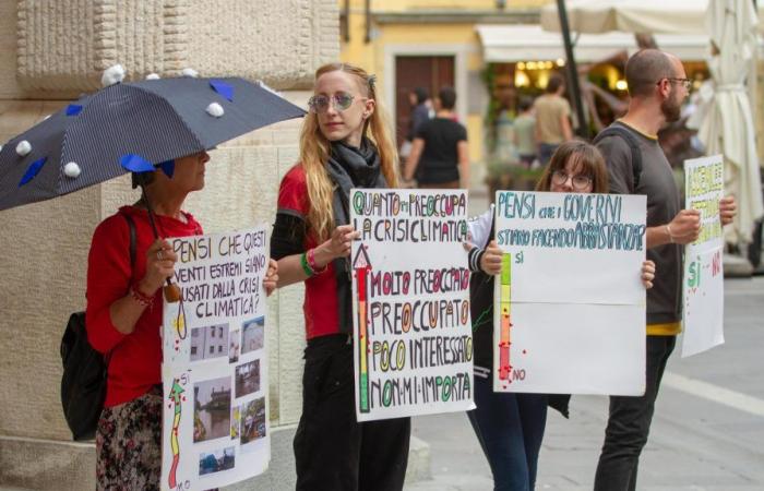 Pancartes et flyers : le cortège des militants pour le climat sur la place d’Udine
