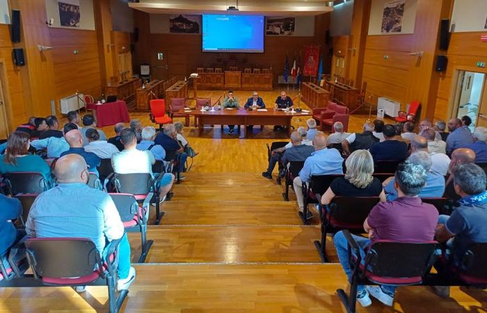 Lamezia, oléiculture et nouvelle réglementation: l’association Acoprol rencontre les carabiniers forestiers et les techniciens du secteur