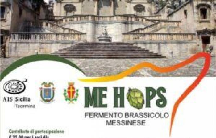 Messine : découverte des bières locales avec « ferment brassicole Me Hops »