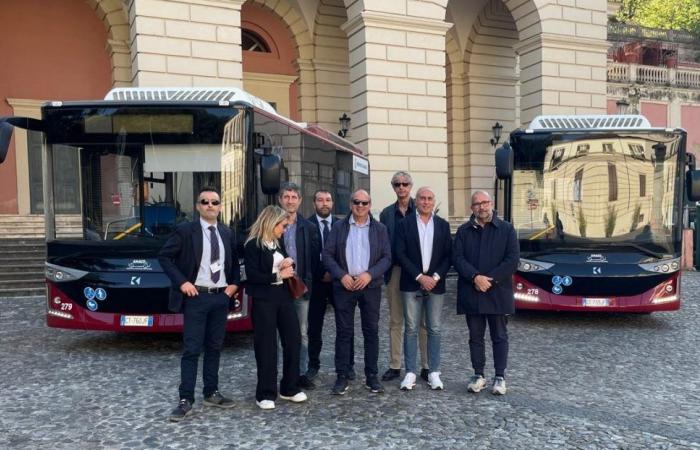 Amaco et Tpl à Cosenza : l’avenir incertain des transports publics locaux